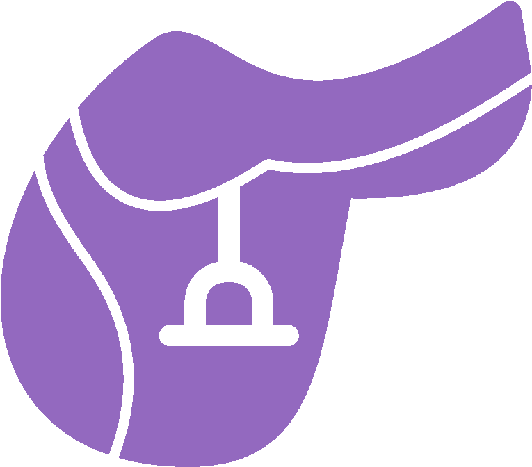 Dressage Training - Saddle Icon Png Clipart (1024x1024), Png Download