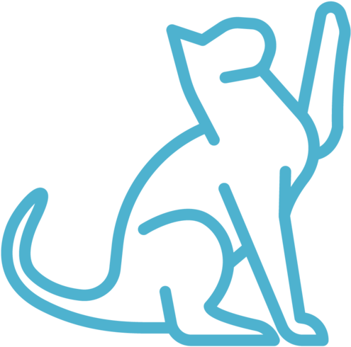 Cat Clipart (580x580), Png Download
