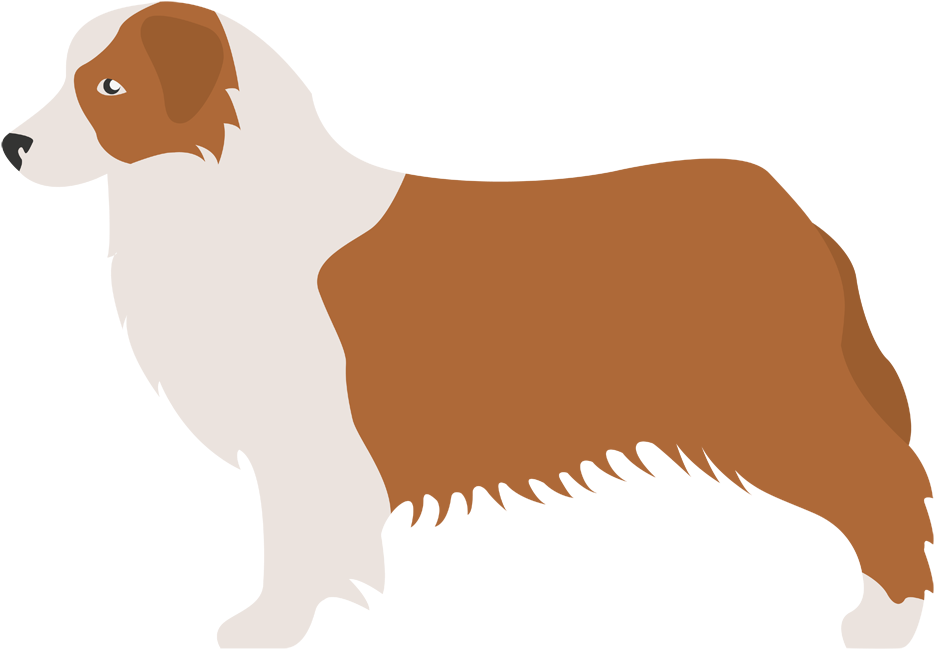 Pastor Australiano - Kromfohrländer Clipart (1000x1000), Png Download