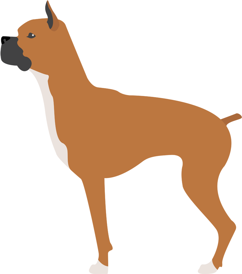 Boxer - Dog Clipart (1000x1000), Png Download