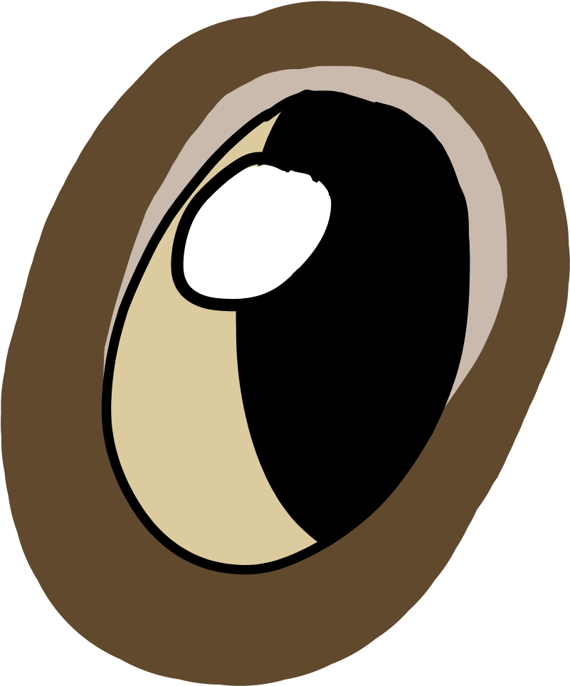 Ravens Eye - Illustration Clipart (1900x1400), Png Download