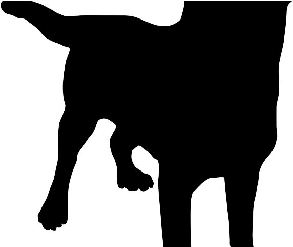 Cat Clipart Hunting - Png Download (640x480), Png Download