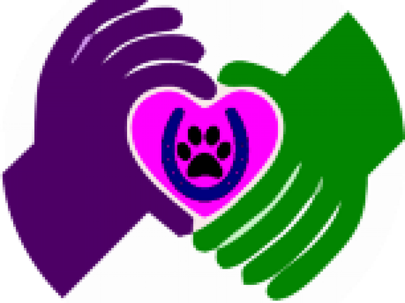 Aug 29 - Rombauer Napa Valley Cabernet Sauvignon Diamond Selection Clipart (800x600), Png Download