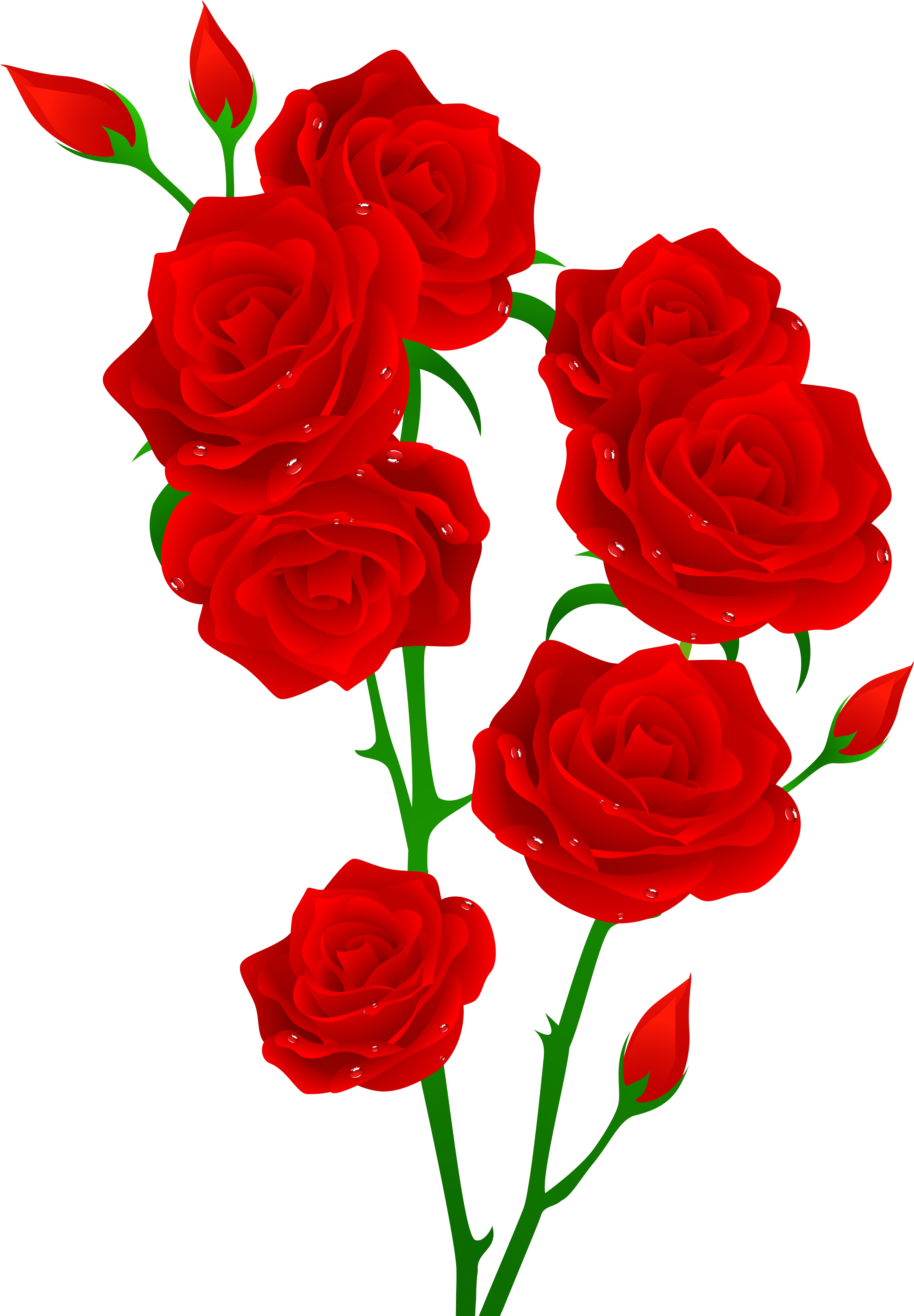 Red Roses Transparent Png Clip Art Image (5613x7726), Png Download