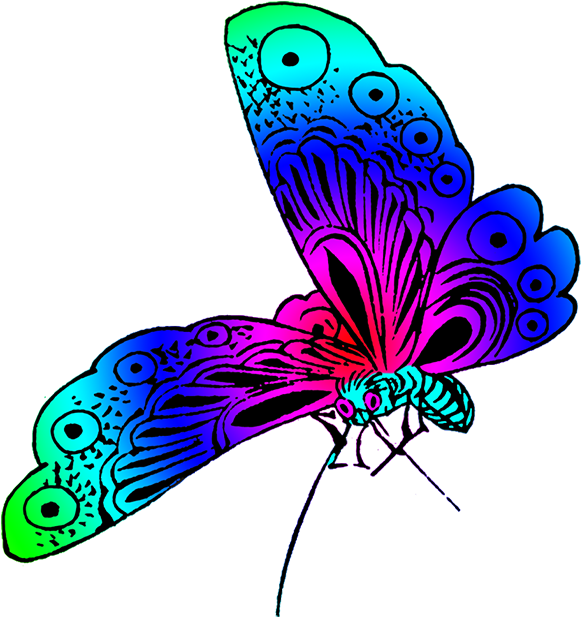 Wonderful Colored Japanese Butterfly - Butterfly Clipart With Color - Png Download (640x650), Png Download