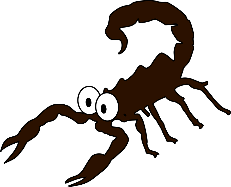 Spider Cartoon Images 24, Buy Clip Art - Escorpiao Png Transparent Png (886x720), Png Download
