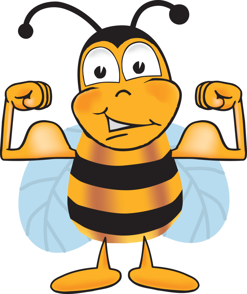 Honey Bee Clipart (840x1000), Png Download