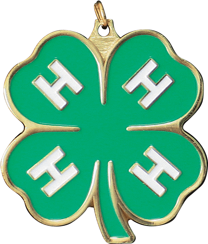 4-h Clover Embroidery Design - Boy And Girl Scout Of America Clipart (803x802), Png Download