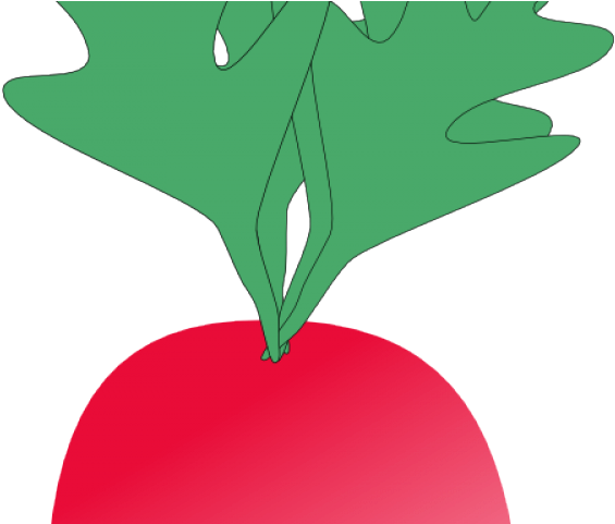 Radish Clipart Cartoon - Radish Clip Art - Png Download (640x480), Png Download