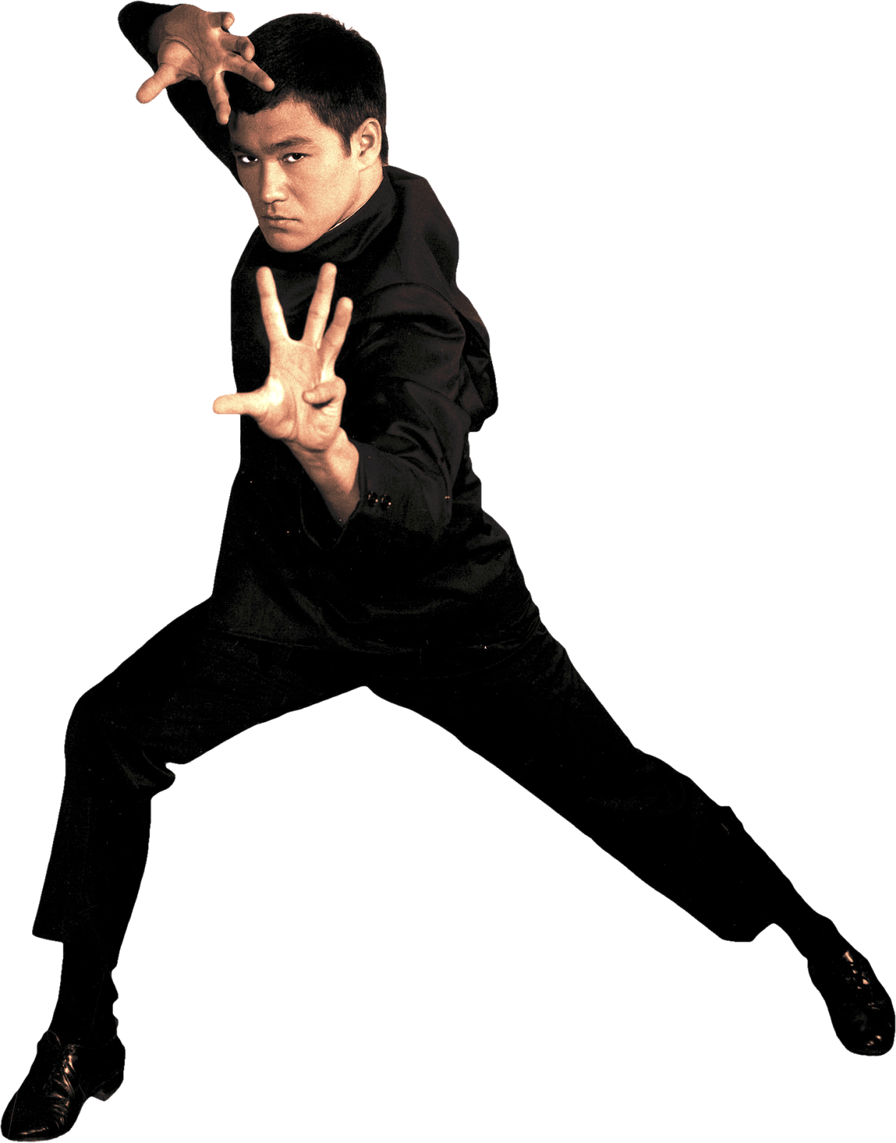 Bruce Lee Png - Bruce Lee Transparent Png Clipart (1254x1600), Png Download