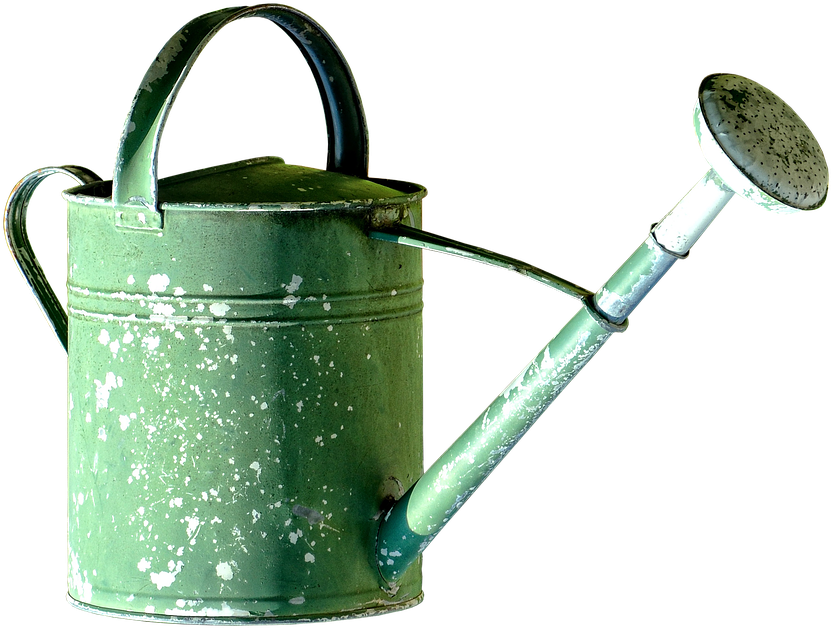 Watering Can Images 1, Buy Clip Art - Watering Can Transparent Background - Png Download (915x720), Png Download
