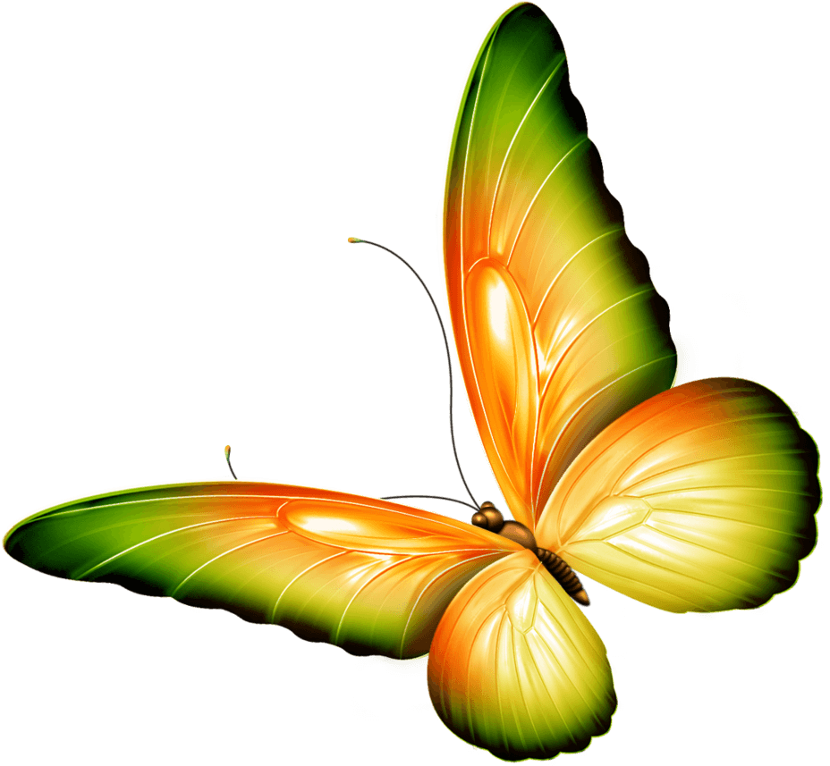 Clip Art Photoshop - Butterfly Clipart With Transparent Background - Png Download (1024x948), Png Download
