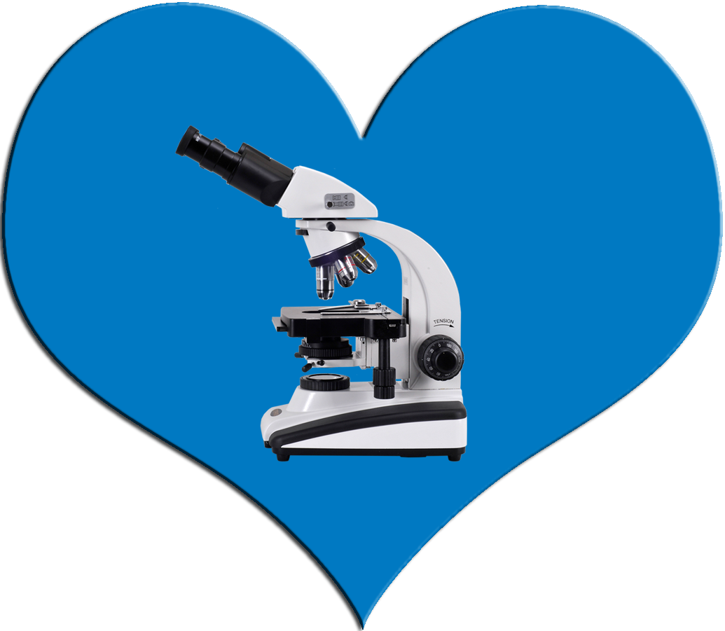 What Is - Microscope Clipart (1035x901), Png Download