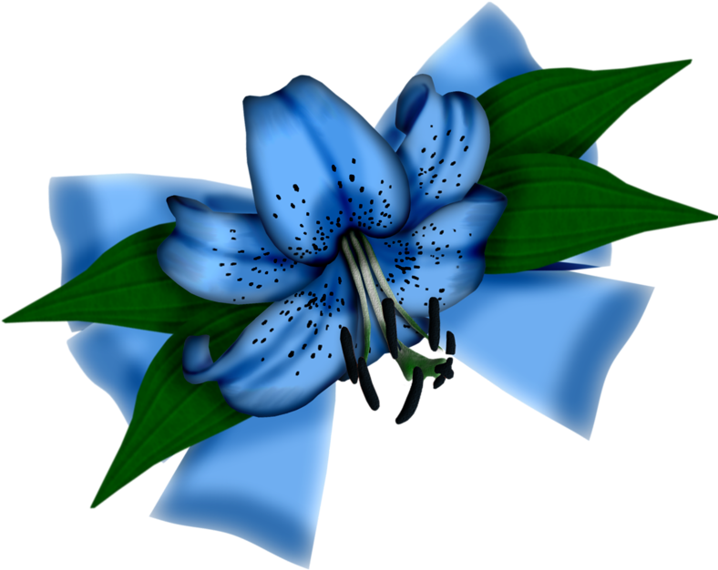 Flower-12 - Scrap Clipart (800x800), Png Download