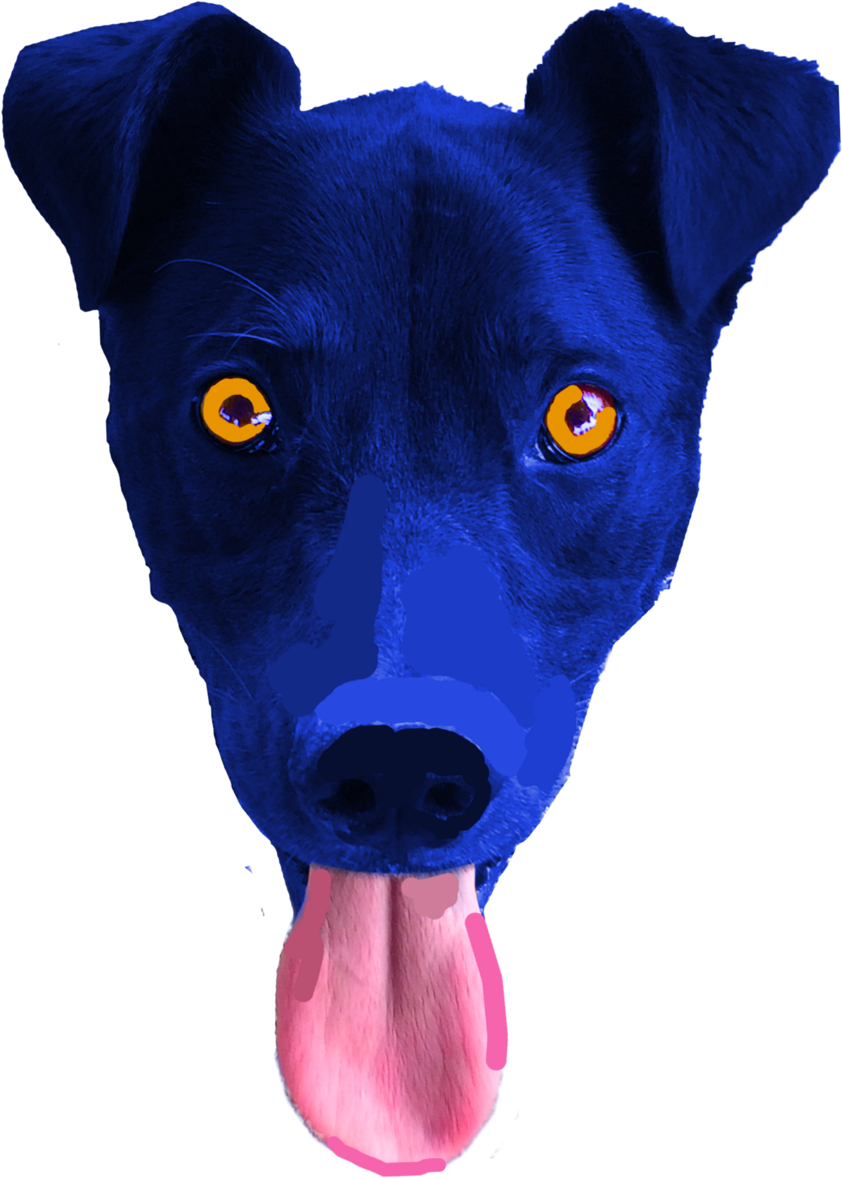 Finally, I Drew On The Image Until I Was Happy With - Feist Clipart (1200x1684), Png Download