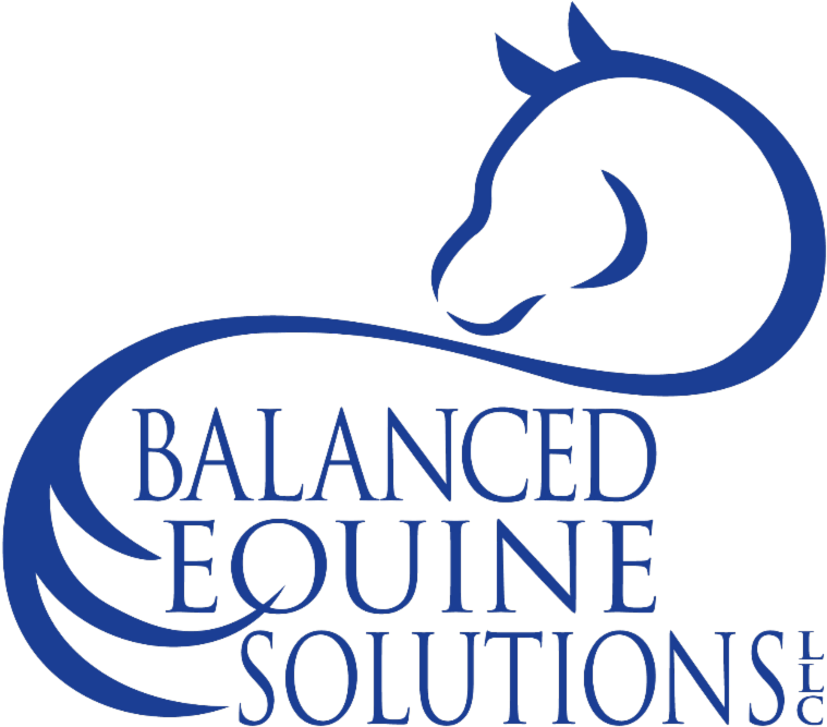 Gold Horse And Balanced Equine Are Sponsors Or Some - Redemption Bay Clipart (800x678), Png Download