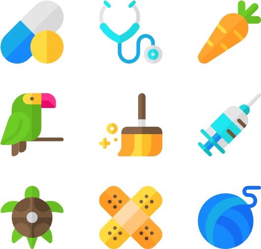 Pet Shop - Portable Network Graphics Clipart (600x564), Png Download