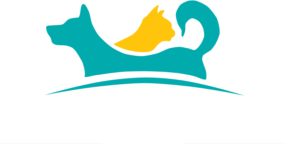 Web Design Clipart (1024x578), Png Download