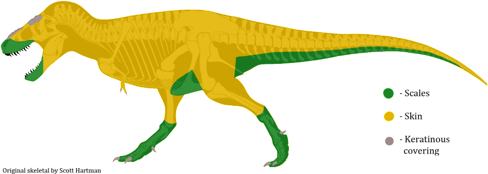 Some People Seemed To Think It Was Cool, But I Showed Clipart (1023x409), Png Download