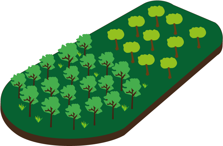 Thumb Image - Afforestation Png Clipart - Full Size Clipart (#1443850 ...