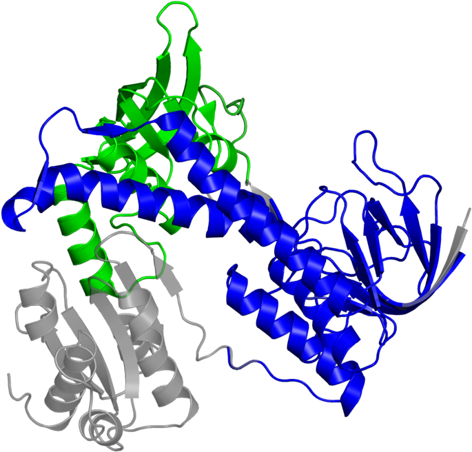 <div Class='caption-body'>2 Copies Of Cath Domain - Graphic Design Clipart (800x800), Png Download