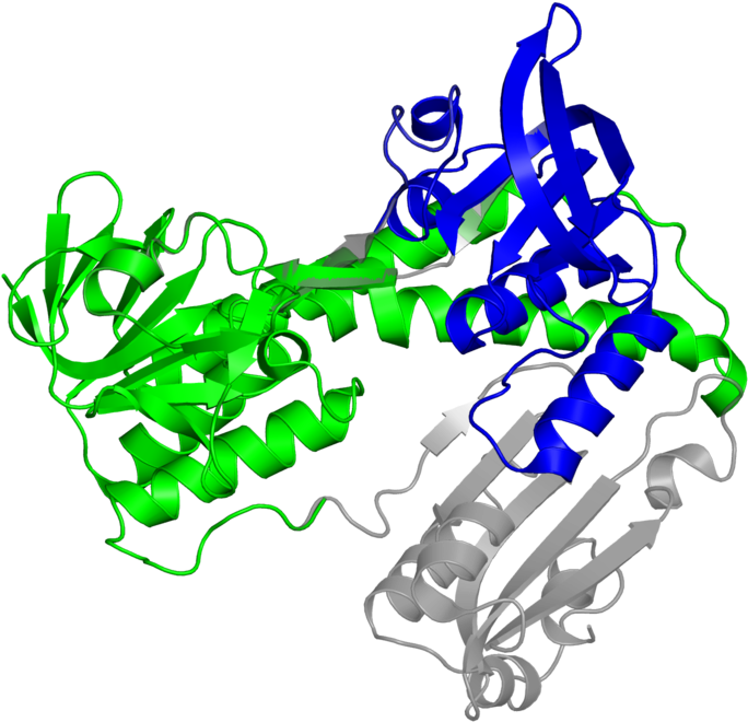 <div Class='caption-body'>2 Copies Of Cath Domain - Illustration Clipart (800x800), Png Download