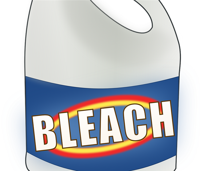 Mold Remediation Bleach And Mold- What Your Should - Household Bleach Clipart (699x599), Png Download