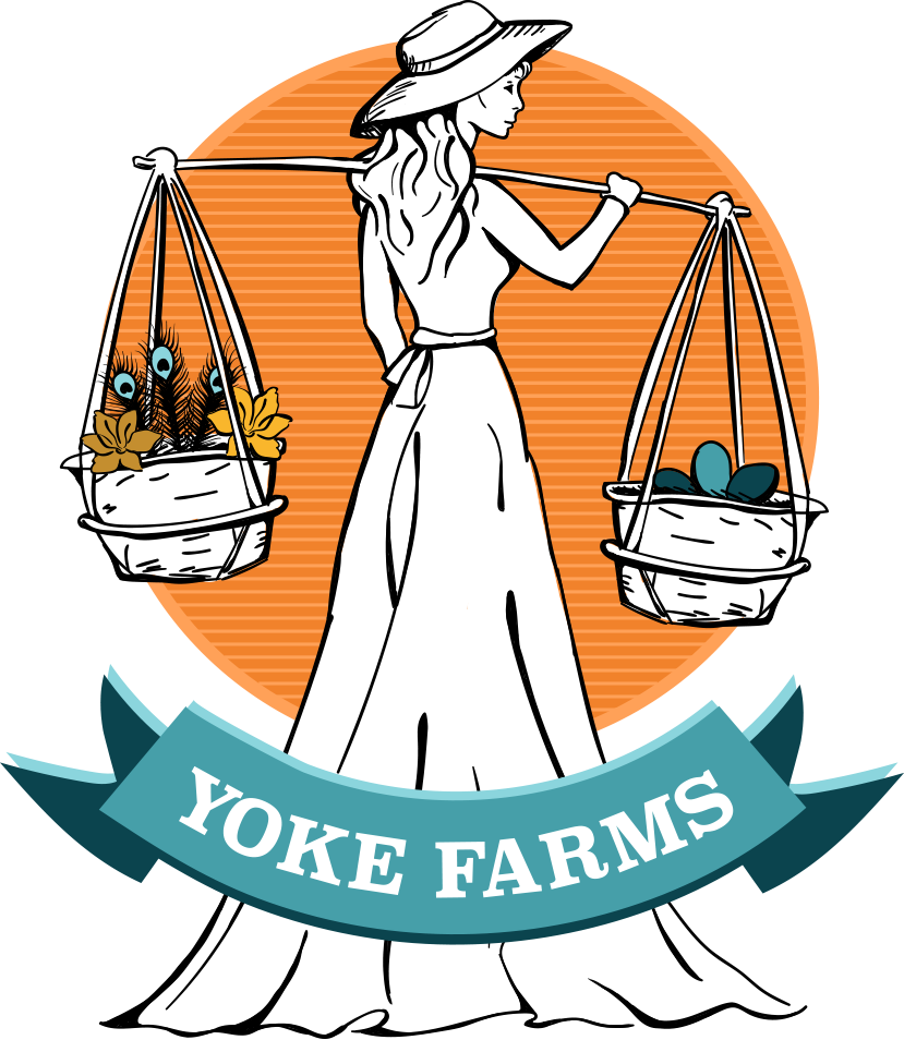 Yoke Farms - Fears, Doubts And Joys Of Not Belonging Clipart (829x954), Png Download