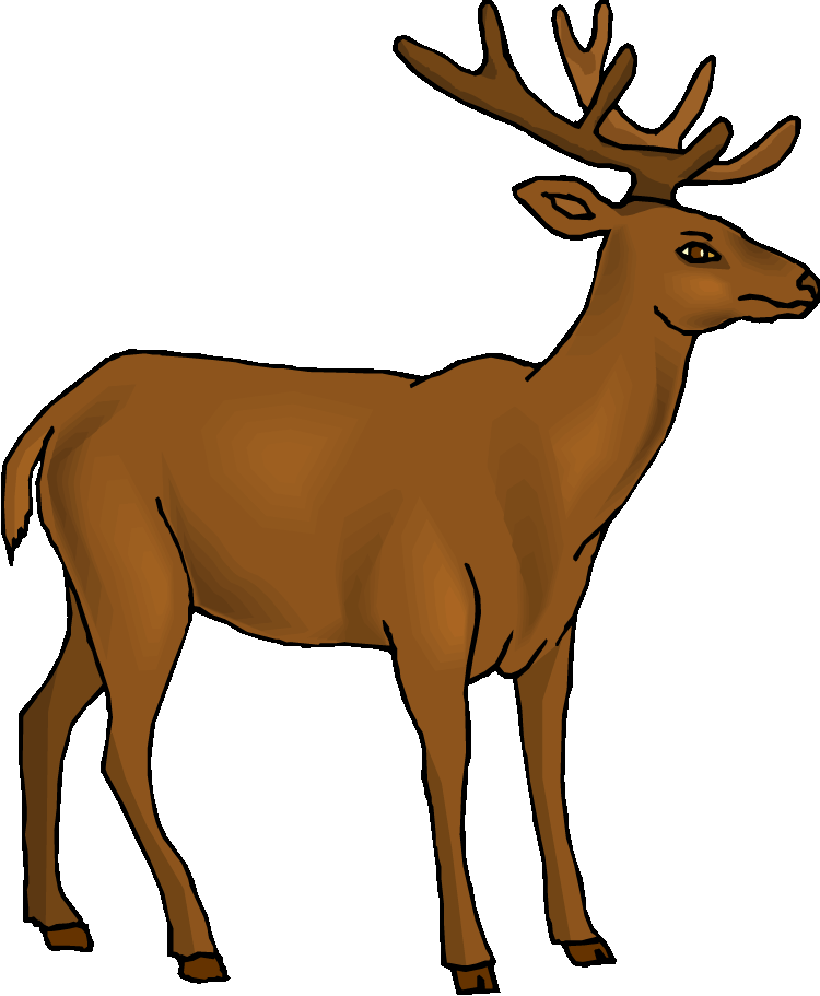 Baby Deer Clip Art - Clip Art Deer - Png Download (750x911), Png Download