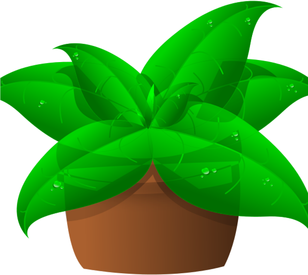 Clip Art Plant Green Plant Clipart Space Clipart - Plants In A Pot Clipart Png Transparent Png (1024x1024), Png Download