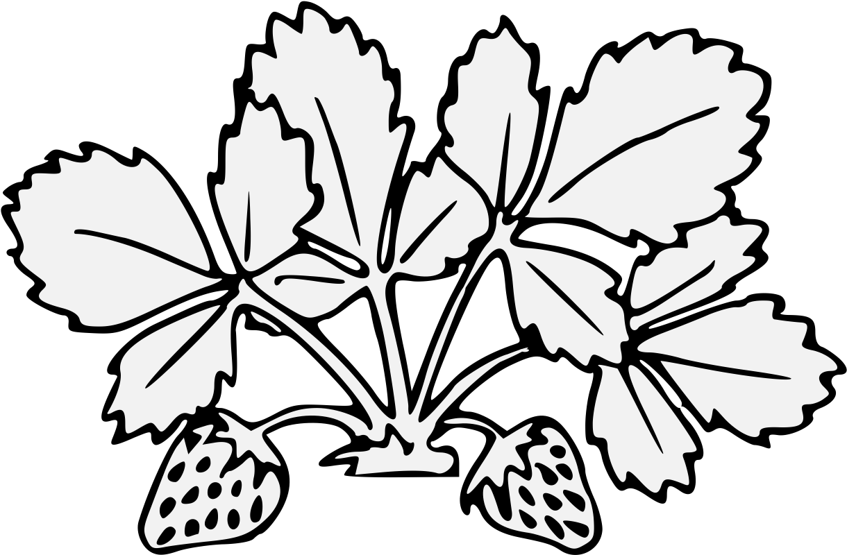 Pdf - Flower Clipart (1237x810), Png Download
