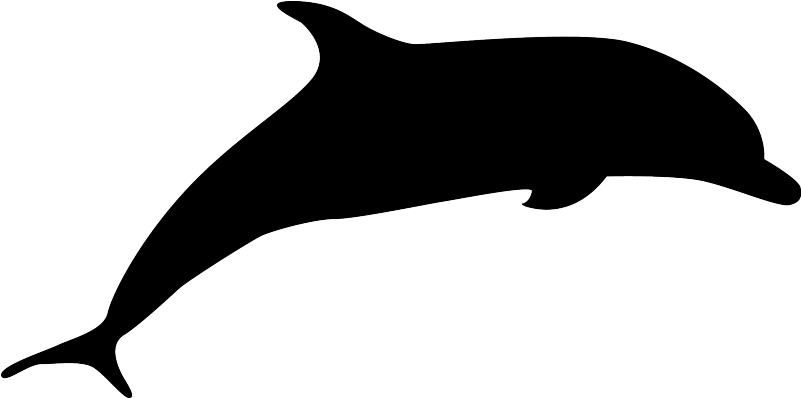 Dolphin Black Clipart (800x800), Png Download