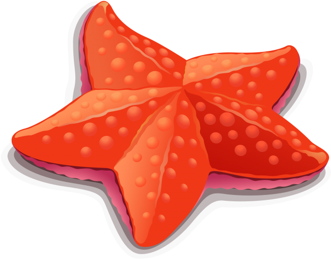 海星 卡通 Clipart (715x715), Png Download