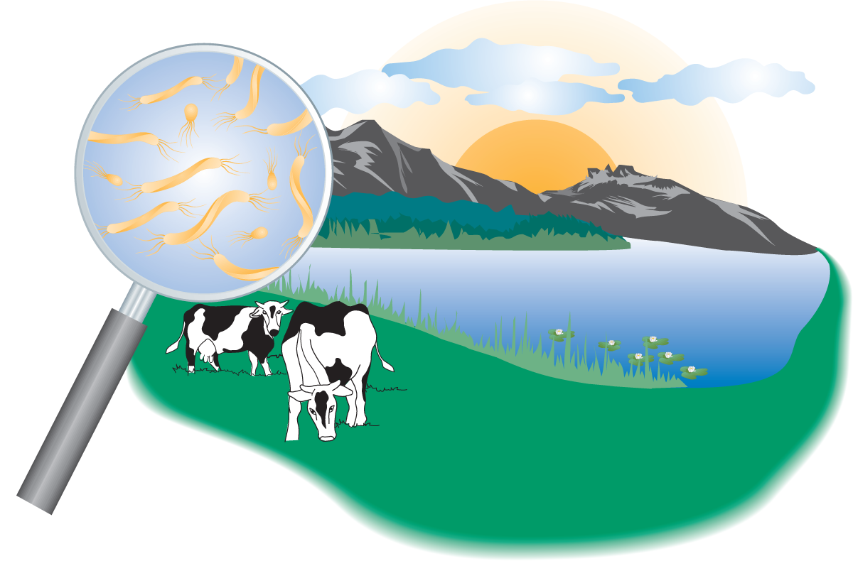 Zoom - Illustration Clipart (1200x790), Png Download