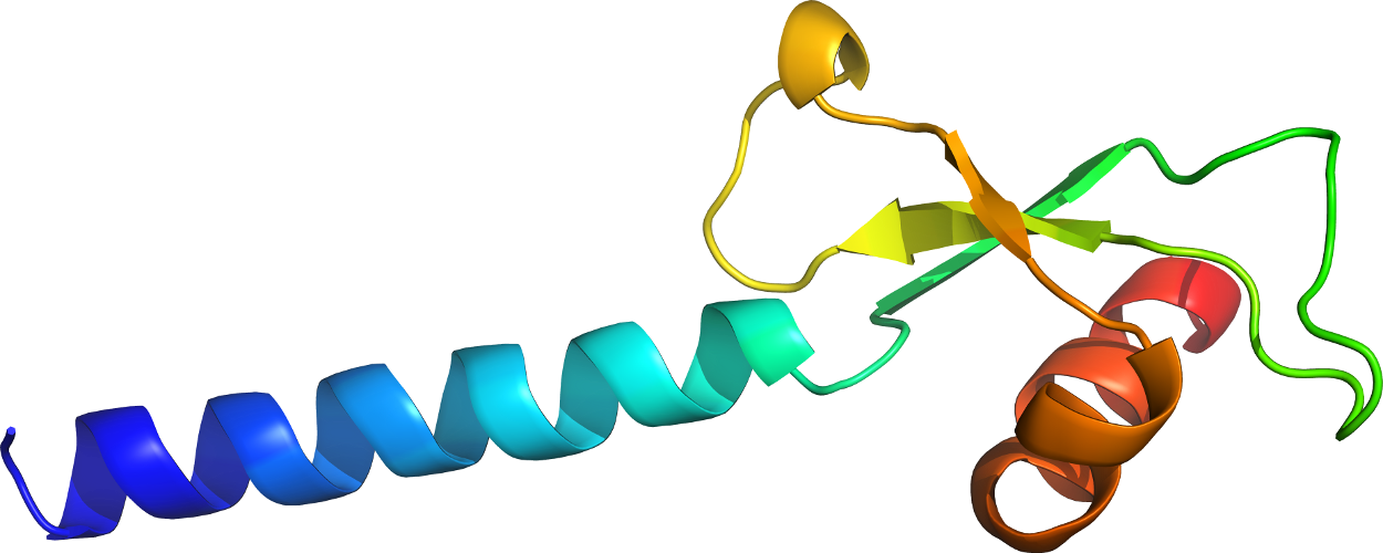 Organism Line Clip Art - Graphic Design - Png Download (1250x500), Png Download