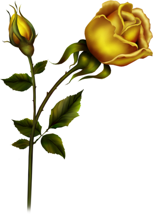 Bud Clipart Yellow Rose - Animatsiya - Png Download (499x699), Png Download
