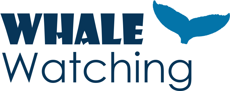 Information - Note Cards (pk Of 20) Clipart (986x420), Png Download