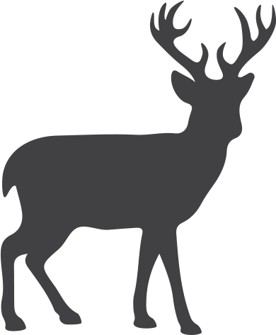 Reindeer Saddle Professional Secrets - Transparent Deer Silhouette Clipart (772x526), Png Download