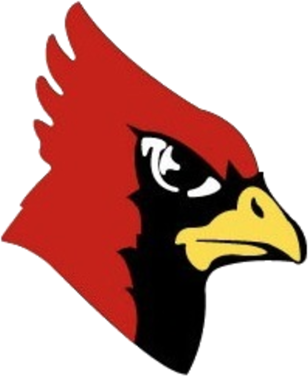 Yellow Medicine East Sting Play Redwood Valley Cardinals - Redwood Valley Cardinal Clipart (720x850), Png Download