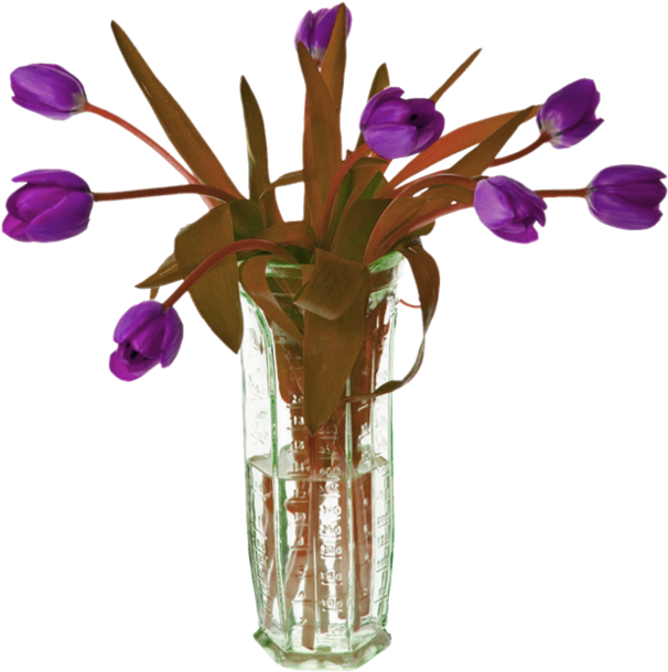 心荷星辰↑采集到素材花 - Glass Bottle Clipart (658x648), Png Download