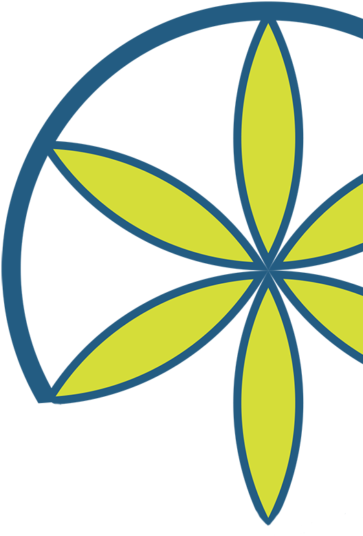 Circle Clipart (528x778), Png Download