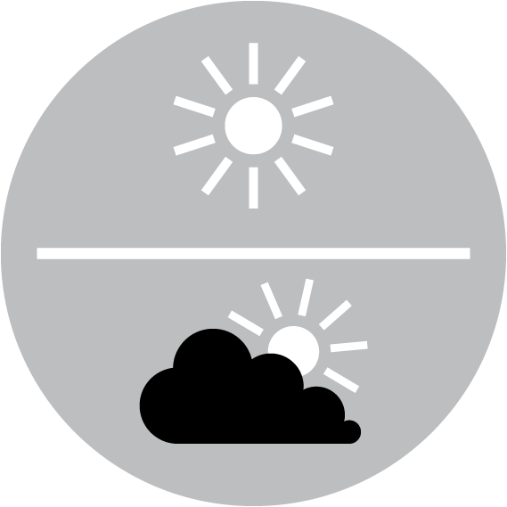 Acacia Dealbata Silver Wattle - Circle Clipart (569x569), Png Download