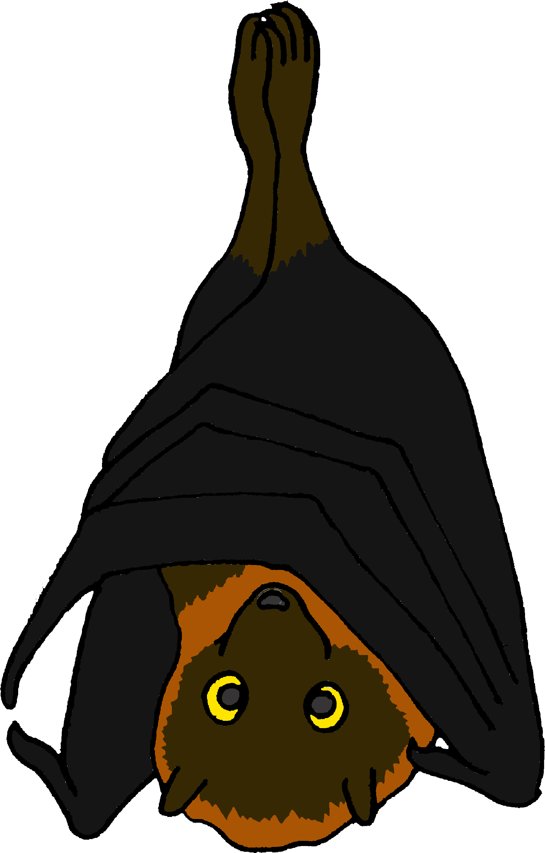 Cartoon Rodrigues Fruit Bat Fruit Bats Cartoon Clipart Full Size