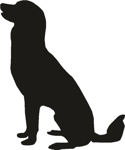 Free Download Clip Art Clipart Puppy Dog Clip Art - Dog - Png Download (800x800), Png Download