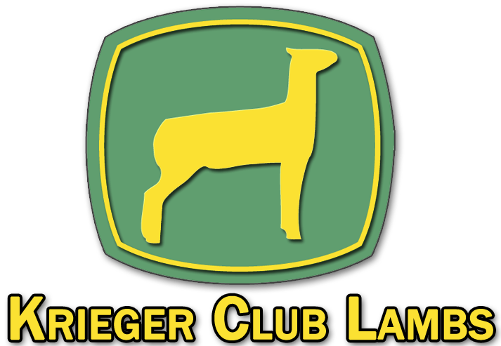 Ray, Linda & Andrea Krieger - 5 Super Bounce Bouncy Ball Jet Balls Children Kids Clipart (713x493), Png Download