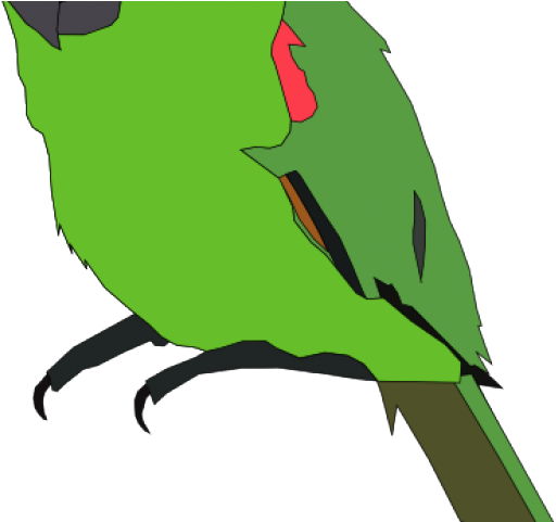 Parrot Clipart Parakeet - Parrot Clip Art - Png Download (640x480), Png Download