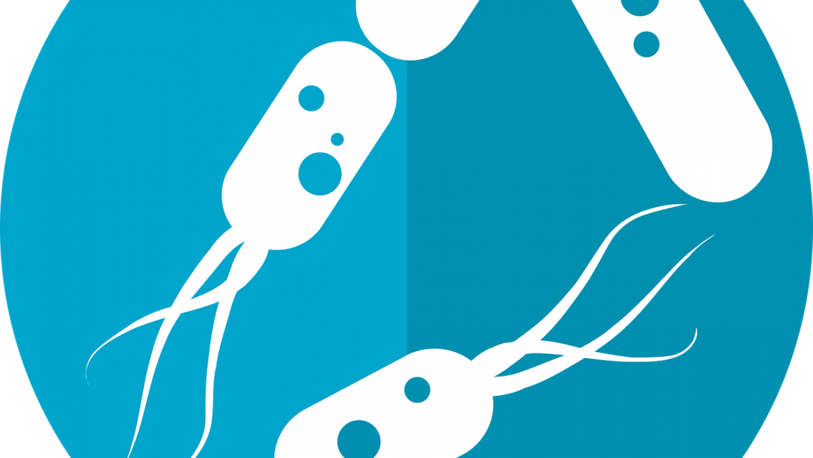 Guía Sobre Los Mejores Probióticos - Bacteria Png Clipart (1170x660), Png Download