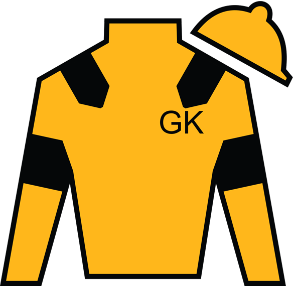 Owner Link - Hood By Air Long Sleeve Grey Clipart (584x570), Png Download