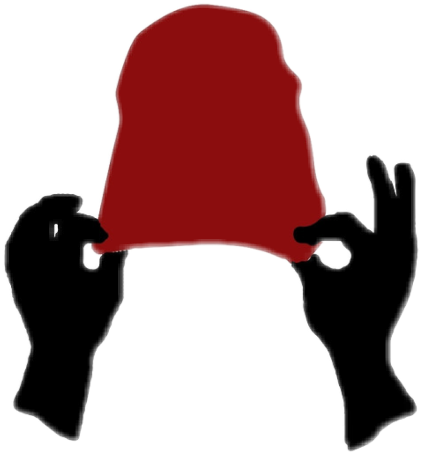Twentyonepilots Twentyønepiløts Top Tøp Blurryface - Playeras De Twenty One Pilots Para Mujer Clipart (860x928), Png Download
