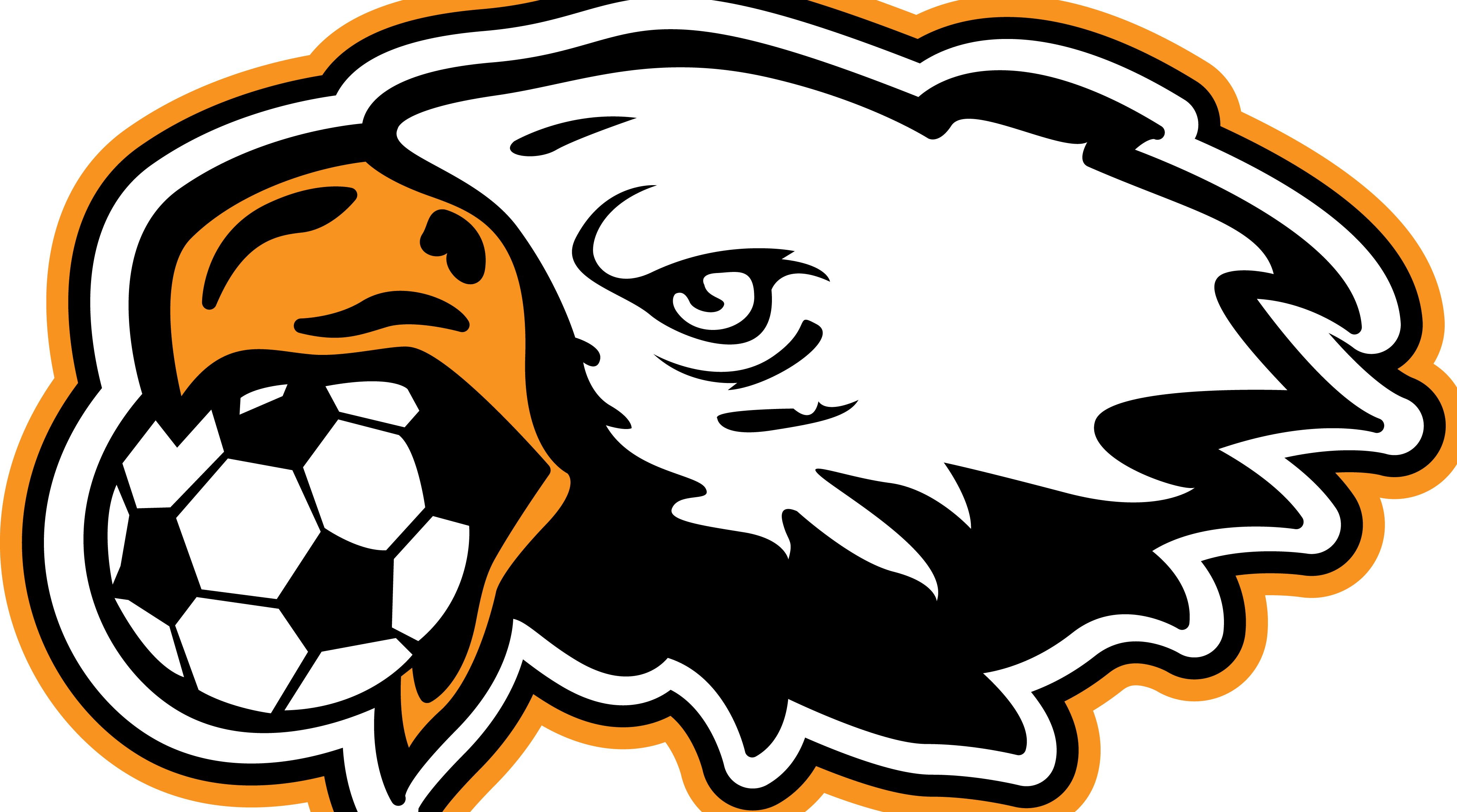 Eagles Soccer Logo Clipart (4145x2311), Png Download